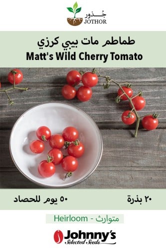 بذور طماطم مات بيبي - Matt's Wild Cherry Tomato Se...