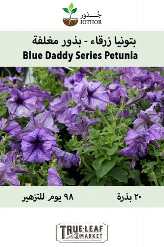 بذور بتونيا زرقاء  - Petunia Seeds - Daddy Series Sugar Blue