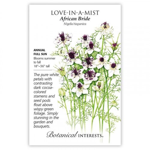 بذور العروس الأفريقية - Love in a Mist African Bride Seeds