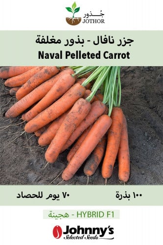 بذور جزر نافال - Naval Pelleted (F1) Carrot Seeds