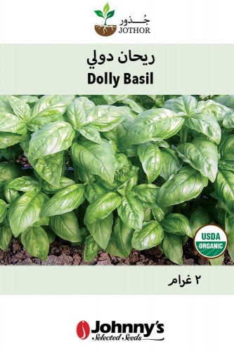 بذور ريحان دولي القزمي - Dolly Organic Basil Seeds