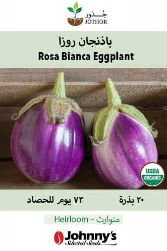 بذور باذنجان روزا بينكا عضوي - Rosa Bianca Eggplant Seeds