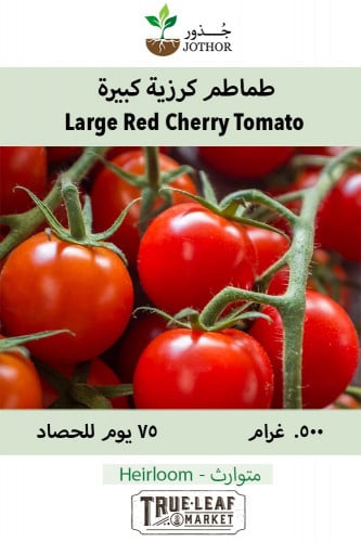 بذور طماطم كرزية كبيرة - Large Red Cherry Tomato Seeds