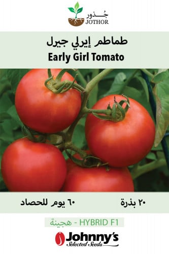 بذور طماطم ايرلي جيرل - Early Girl (F1) Tomato Seed
