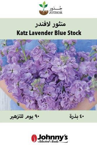 بذور "ستوك" لافندر - Katz Bright Lavender Blue Stock Seed