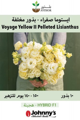 بذور ايستوما صفراء - Voyage 2 Yellow II Pelleted (...