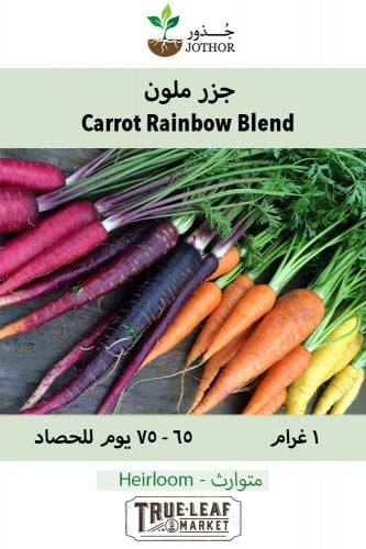 بذور جزر ملون - Carrot Rainbow Blend Seeds