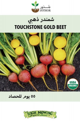 بذور شمندر ذهبي - Touchstone Gold Beet Seeds