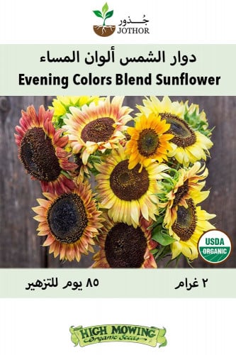 بذور دوار الشمس ألوان المساء - Evening Colors Blend Sunflower Seeds
