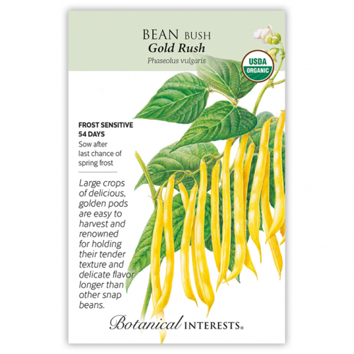 بذور فاصوليا ذهبية - Bean Bush (yellow) Gold Rush Seeds