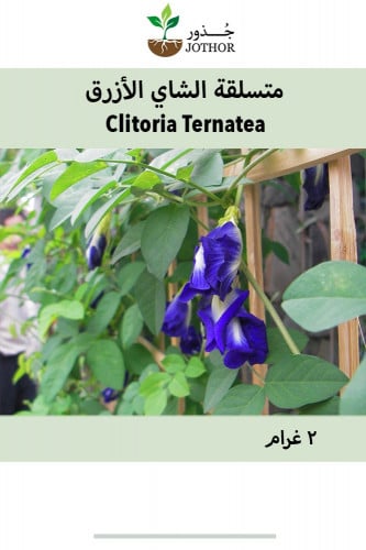 بذور متسلقة الشاي الأزرق - Clitoria Ternatea Seeds