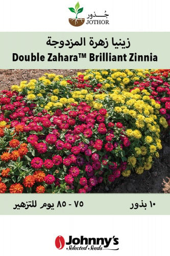 بذور زينيا زهرة قزمية مزدوجة - Double Zahara™ Bril...