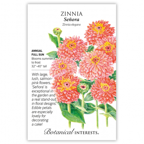 بذور زينيا سينورا - Zinnia Senora Seeds