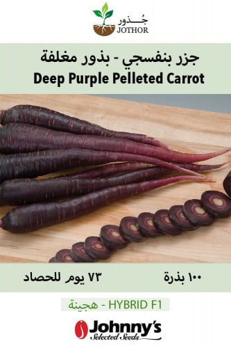 بذور جزر بنفسجي - Deep Purple Pelleted (F1) Carrot Seeds