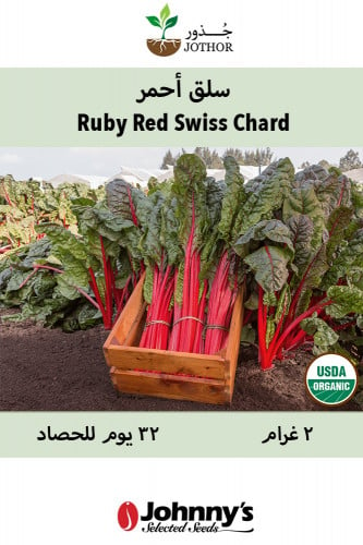 Ruby Red Rhubarb Swiss Chard Seeds