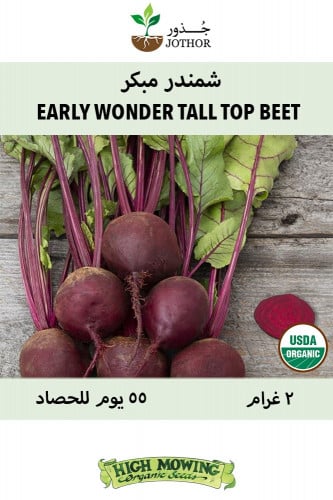بذور شمندر مبكر - Early Wonder Tall Top Beet Seeds