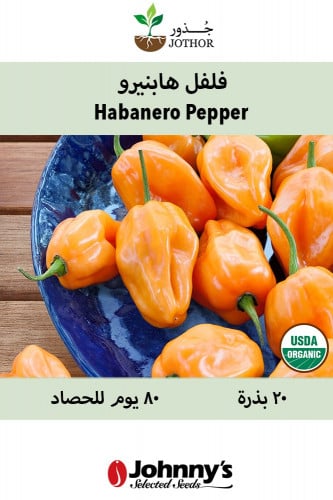 بذور فلفل هابنيرو حار عضوي - Habanero Hot Peppers...