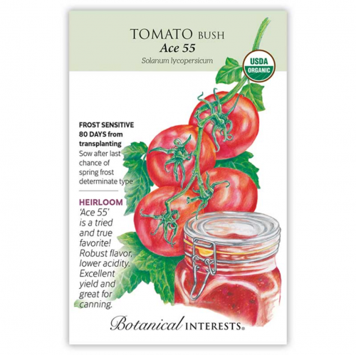 بذور طماطم عضوي - Tomato Bush Ace Organic Seeds