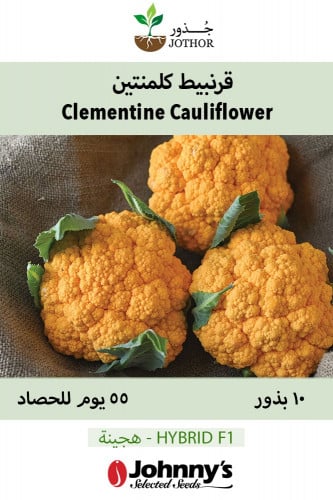 بذور قرنبيط كلمنتين - Clementine (F1) Cauliflower Seeds