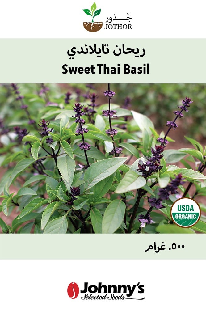 Sweet Thai Organic Basil Seeds