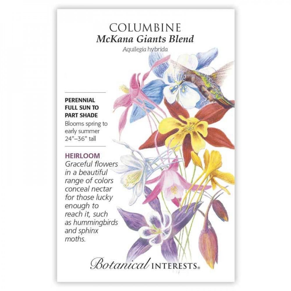 بذور كولومبين الملونة - McKana Giants Blend Columbine Seeds