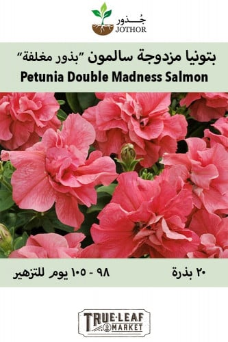 بذور بتونيا مزدوجة سالمون - Double Madness Series Salmon Petunia Seeds