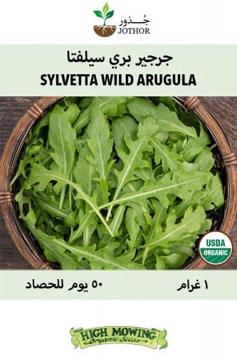 بذور جرجير بري سيليفتا - Sylvetta Wild Arugula See...