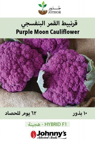 بذور قرنبيط القمر البنفسجي - Purple Moon (F1) Cauliflower Seeds
