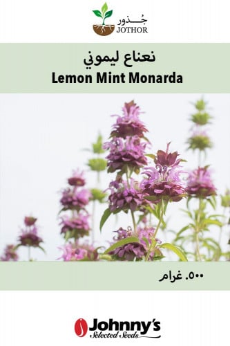 بذور نعناع ليموني بلسم النحل - Lemon Mint Seeds