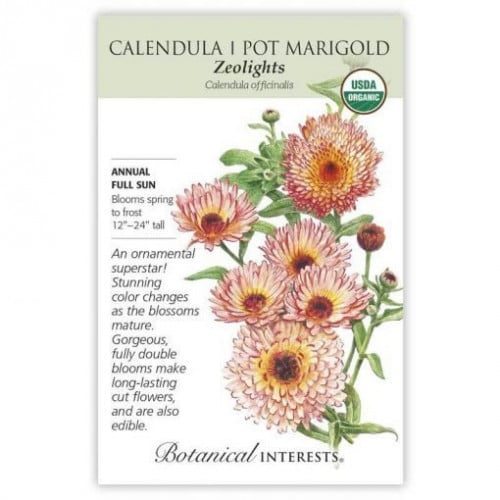 اذريون زيولايتس - Zeolights Calendula