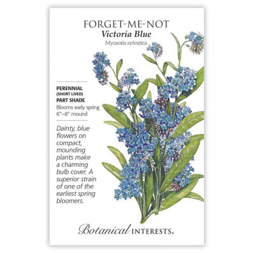 Forget-Me-Not Victoria Blue