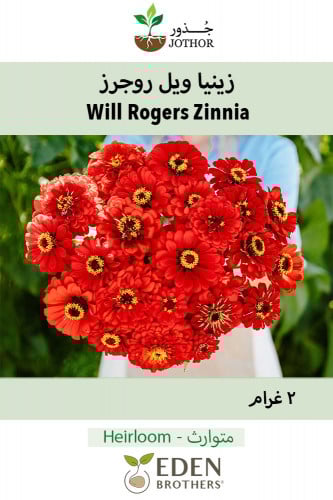 بذور زينيا ويل روجرز - Will Rogers Zinnia Seeds