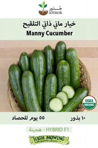 بذور خيار ماني ذاتي التلقيح - Manny Cucumber Seeds