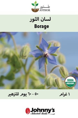 بذور لسان الثور بوراج - Borage Seeds