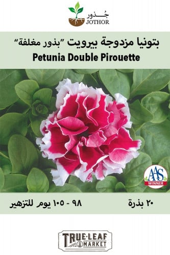 بذور بتونيا مزدوجة بيرويت - Pirouette Rose Petunia Seeds