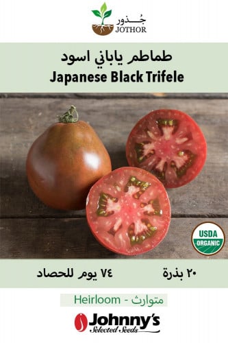 بذور طماطم ياباني أسود - Japanese Black Trifele Seeds