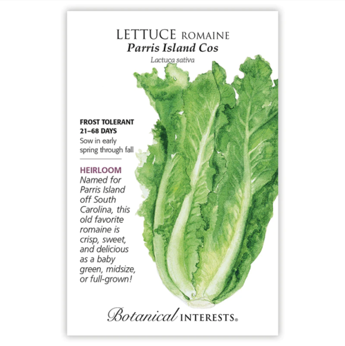 بذور خس روماني - Lettuce Romaine Parris