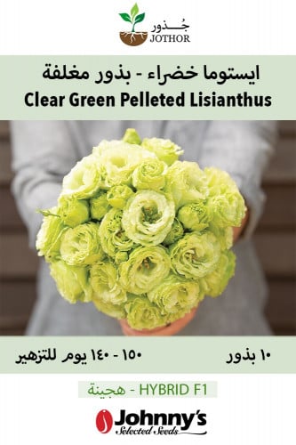 بذور ايستوما خضراء - Rosanne 2 Clear Green Pelleted Lisianthus Seeds