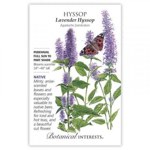 بذور هايسوب - Hyssop Anise Seeds