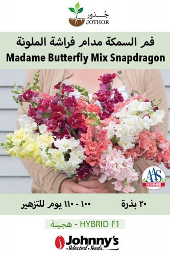 بذور فم السمكة مدام فراشة - Madame Butterfly Mix (F1) Snapdragon Seed