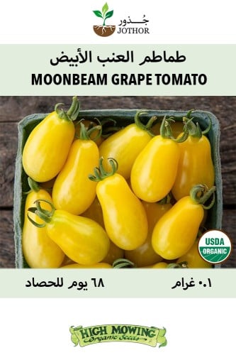 طماطم العنب الأبيض - Moonbeam Grape Tomato Seeds