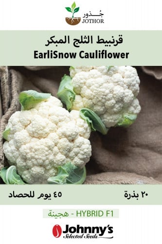 بذور قرنبيط الثلج المبكر - EarliSnow (F1) Cauliflower Seeds