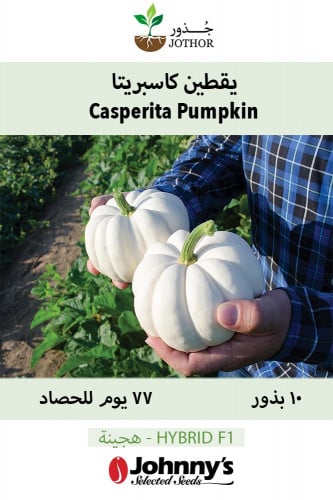 بذور يقطين كاسبريتا - Casperita (F1) Pumpkin Seeds
