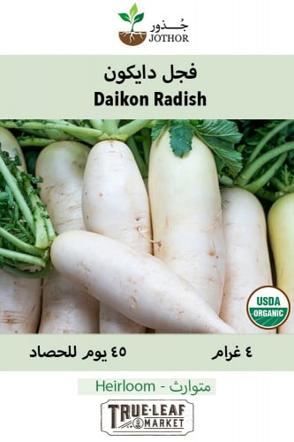 بذور فجل دايكون - Daikon Radish Seeds