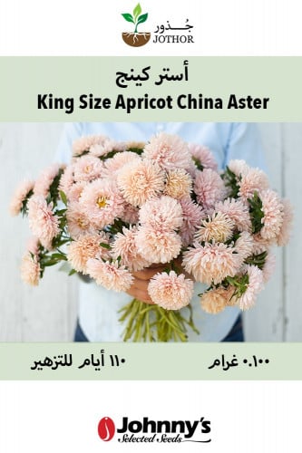 بذور استر كينج - King Size Apricot Aster Seeds