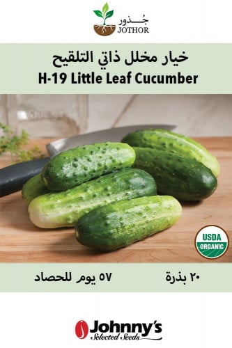 بذور خيار مخلل ذاتي التلقيح - H-19 Little Leaf Pickling Cucumbers Seeds