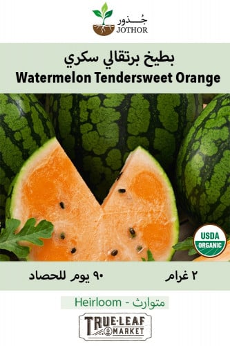 بذور بطيخ برتقالي سكري - Tendersweet Orange Watermelon Seeds