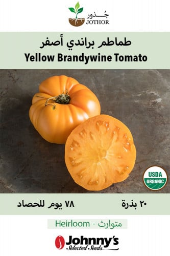 بذور طماطم براندي أصفر - Yellow Brandywine Tomato...
