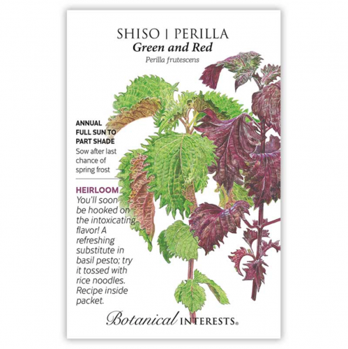 بذور شيسو - Shiso/Perilla Green & Red Seeds