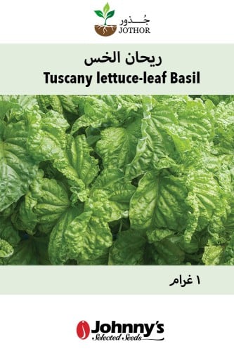 بذور ريحان الخس - Tuscany Basil Seeds